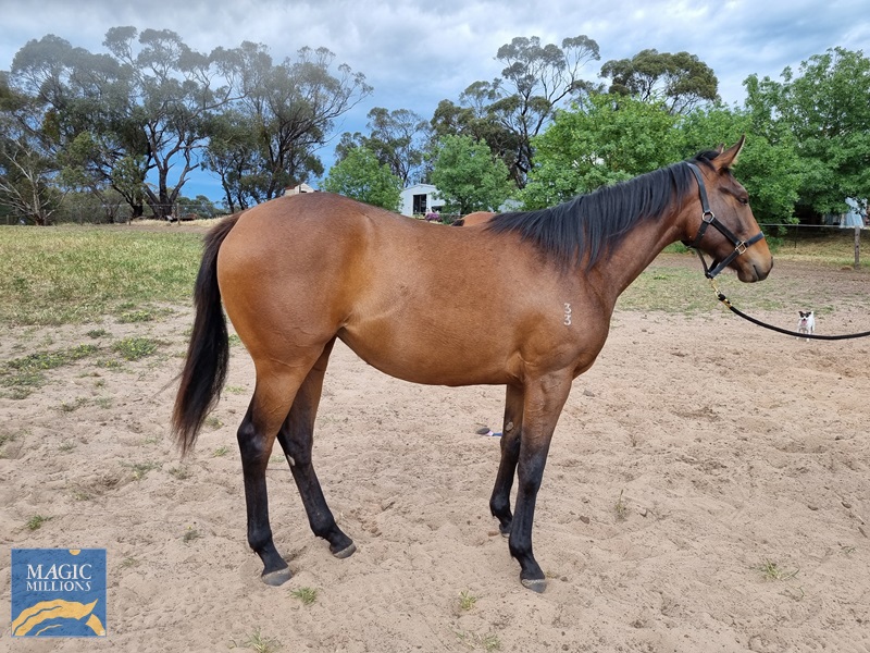 20251019_101013.jpg - Image 4