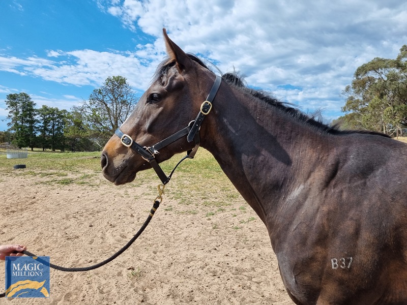 20251019_095733.jpg - Image 2