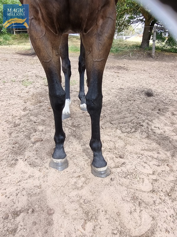 20251019_095810.jpg - Image 3