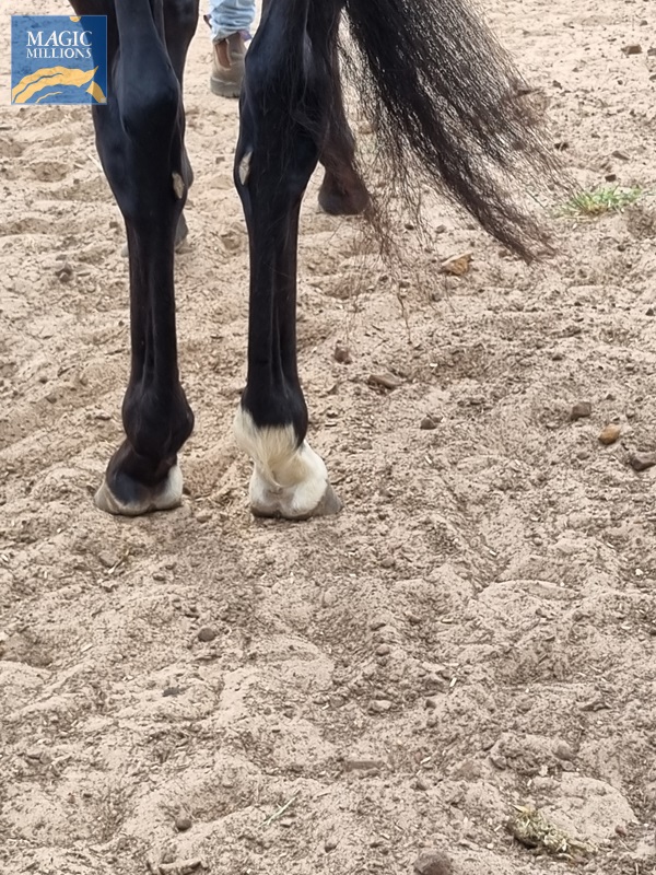 20251019_095917.jpg - Image 4