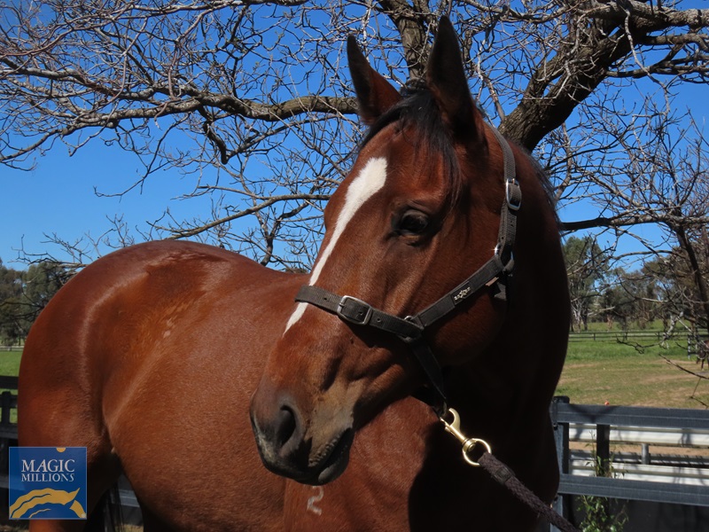 IMG_6310.jpg - Image 1