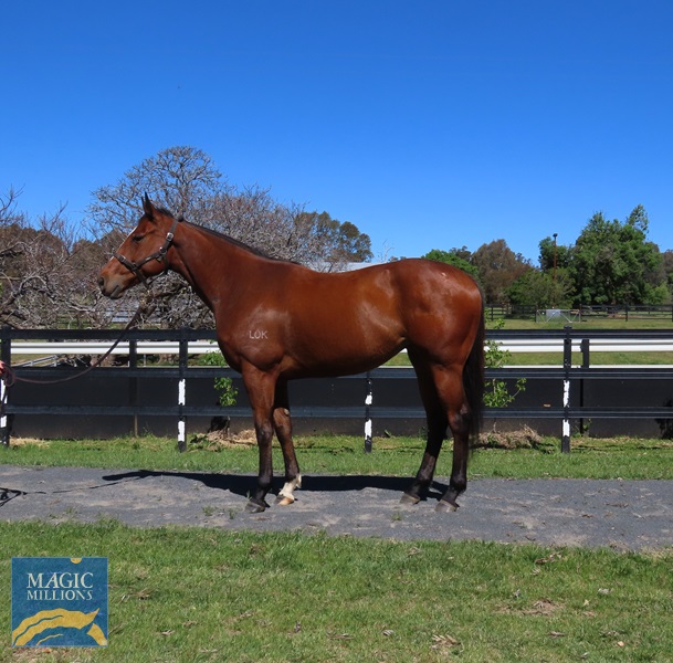 zrinski2.jpg - Image 2