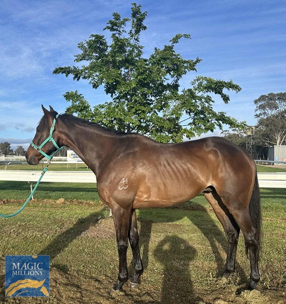 1000010624.jpg - Image 1