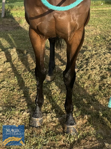 1000010625.jpg - Image 2