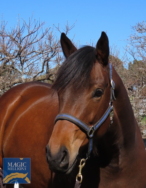 mouldy 4.jpg - Image 1