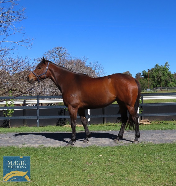 mouldy1.jpg - Image 2