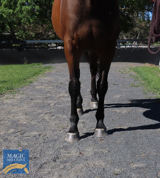 mouldy 3.jpg - Image 3