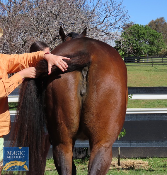 mouldy 2.jpg - Image 4