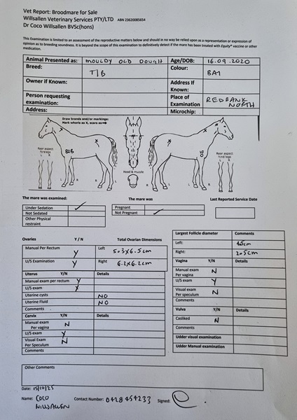 Breeding Certificate (Image)