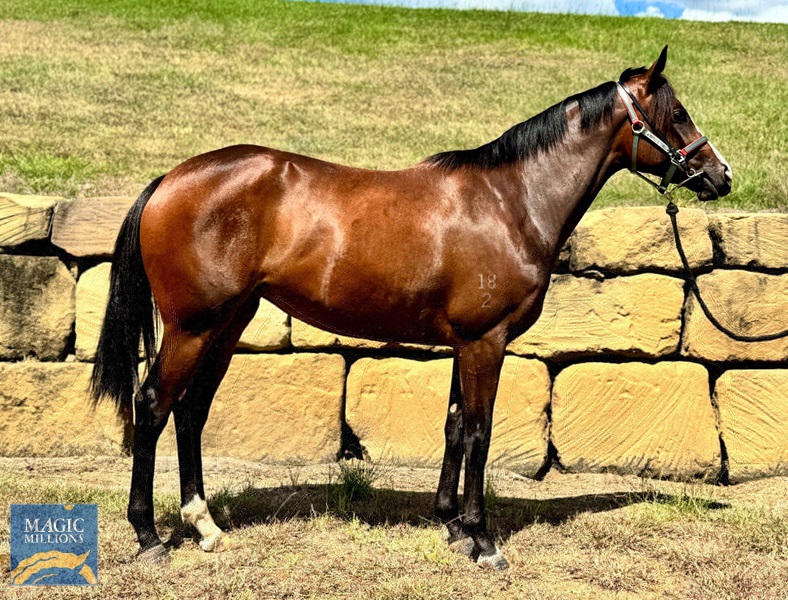 you are.jpg - Image 1