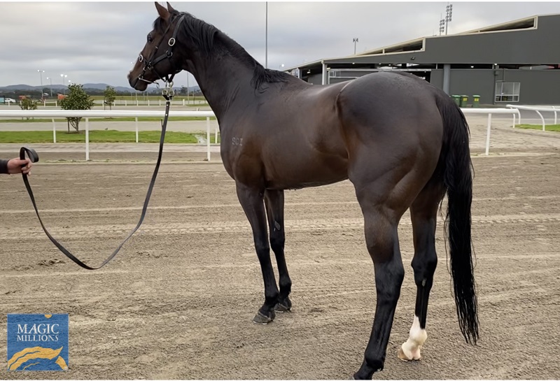 3249B8ED-BFF8-4E02-8075-7A2ED2356ACC.jpg - Image 1