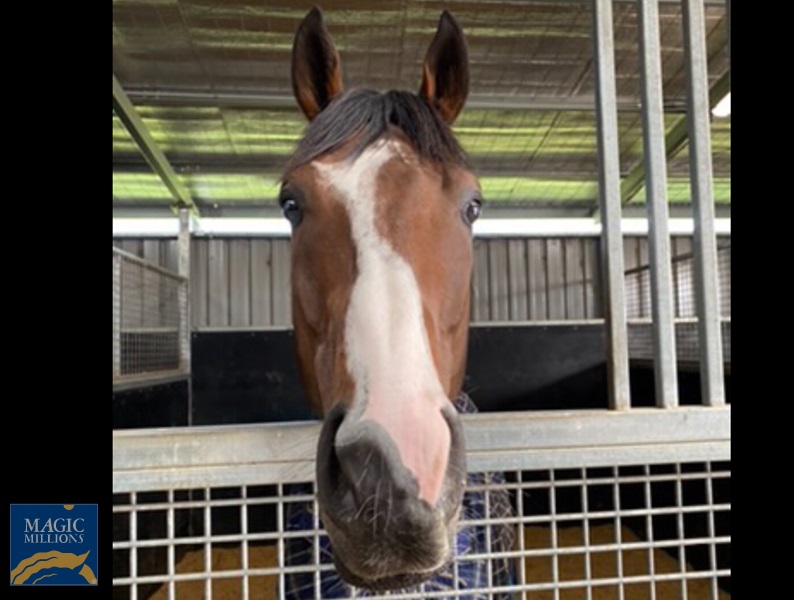 002A88B7-2E10-4917-8F77-5325F4B5FDEE.jpg - Image 2