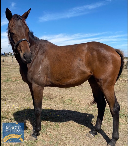 384AD65B-D1E7-431E-B294-53CE0B21B749.jpg - Image 1