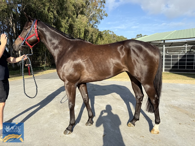 IMG_8768.jpg - Image 1