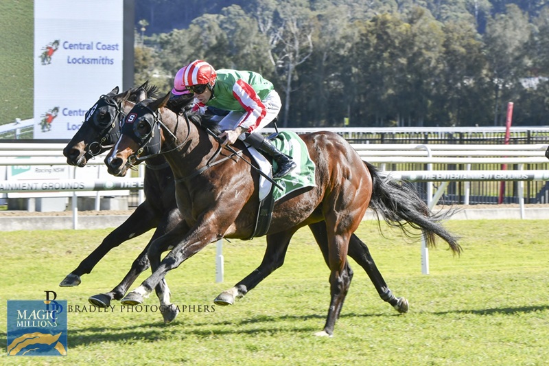 Aligned 2.jpg - Image 1