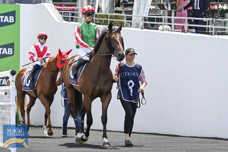 IMG_2901.jpg - Image 3