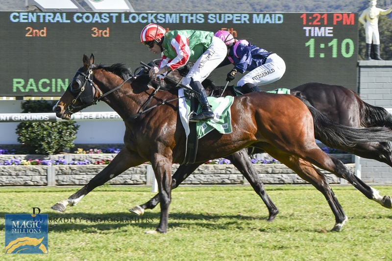 IMG_2903.jpg - Image 4