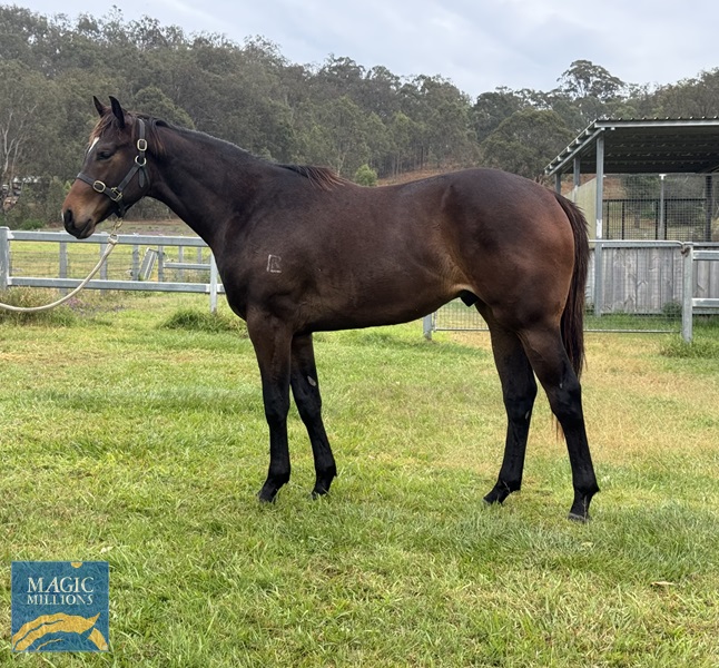 IMG_1935.jpg - Image 1