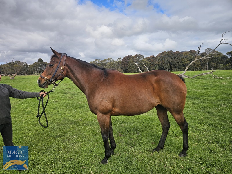 20251021_152049 (002).jpg - Image 1