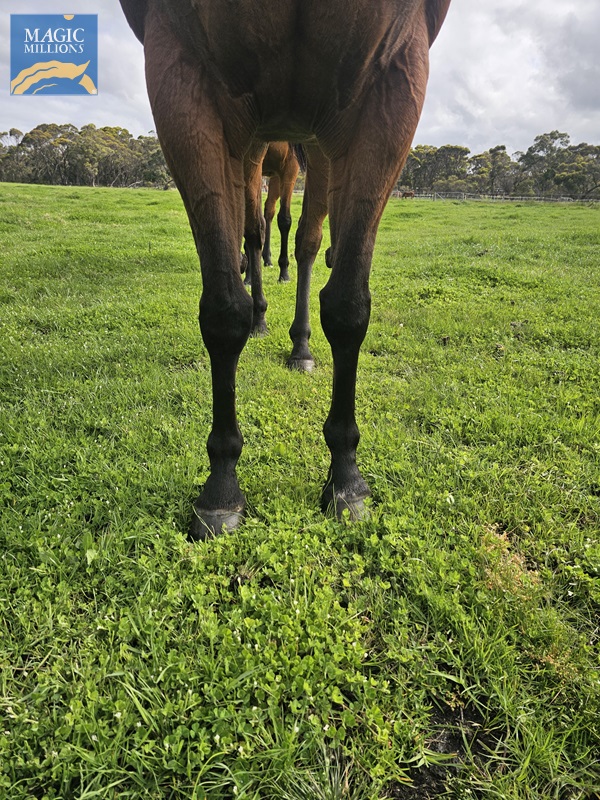 20251021_152236 (002).jpg - Image 2