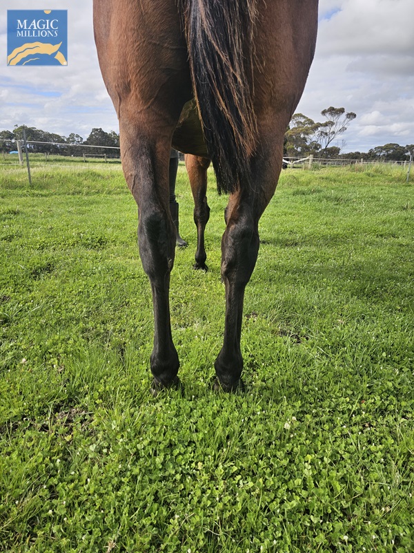 20251021_152256 (002).jpg - Image 3