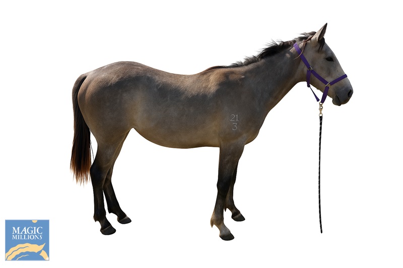 25-10-1 D.jpg - Image 1