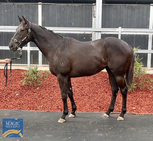 IMG_5574.jpg - Image 1