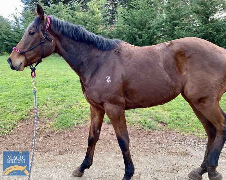 BFAD18E6-C04E-46E7-9795-536FC29C1F5B.jpg - Image 1