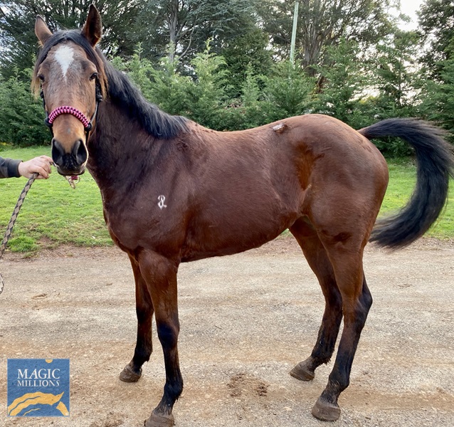 FBD4A7F2-982F-4C4B-9FBC-4BA82AEED66B.jpg - Image 2