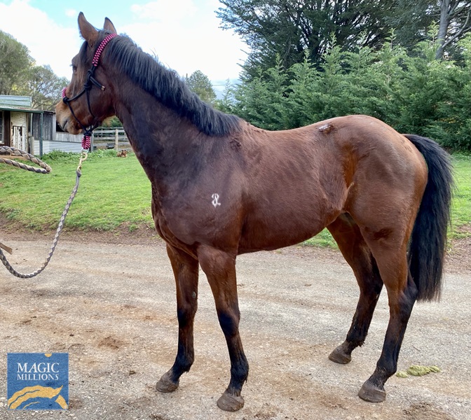 D4705572-49FA-415E-988E-B1C6507041D2.jpg - Image 3