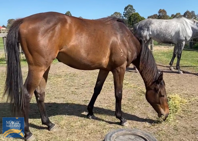 929CC243-749C-4ECD-9EF7-8459B3DE1662.jpg - Image 2