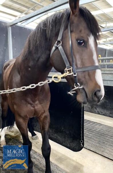 F3E15ED5-85D6-41C2-819D-44DA9513E92F.jpg - Image 4