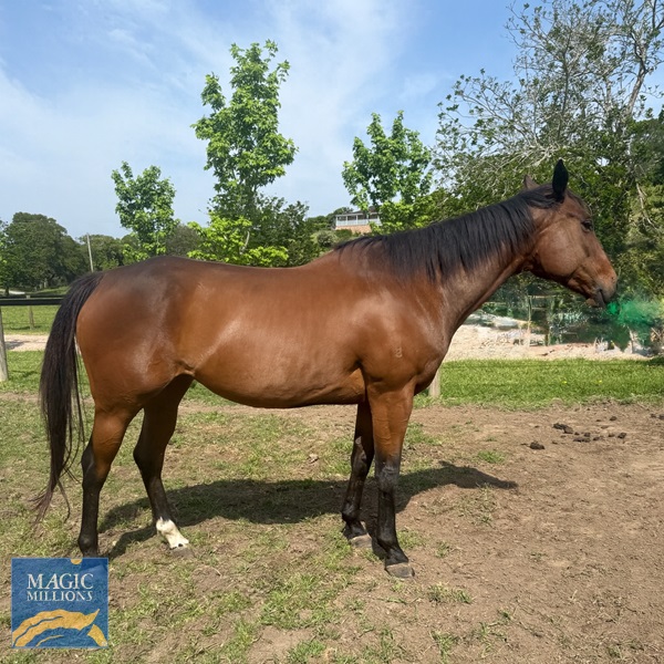 ChatGPT Image Oct 23, 2025, 08_44_30 PM.jpg - Image 1