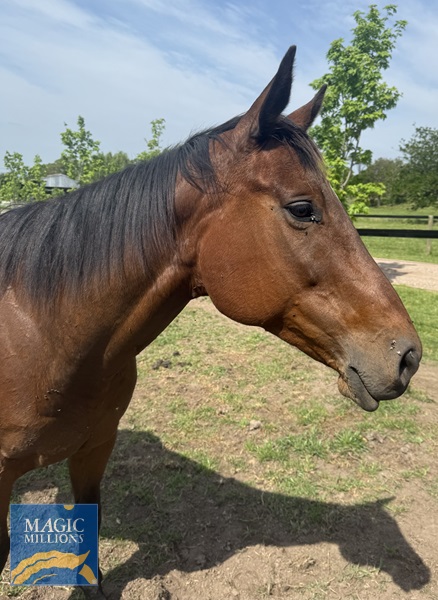 IMG_9020 2.jpg - Image 2