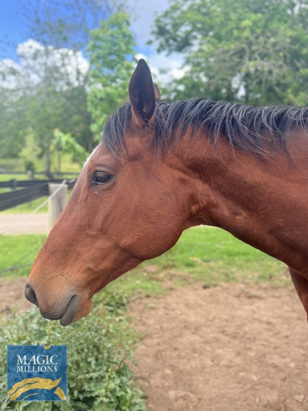 Aint She Smokin (body).jpg - Image 1