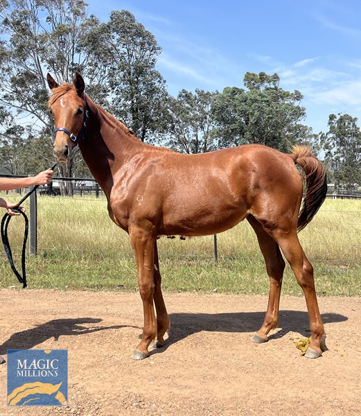 IMG_E8309[1].jpg - Image 1