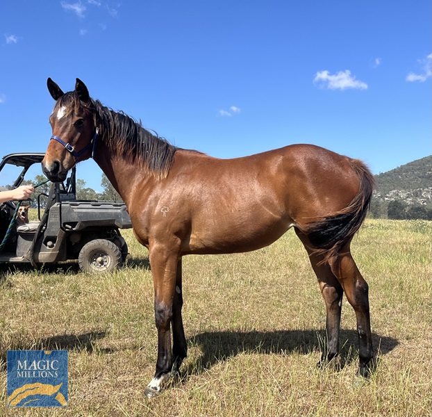 IMG_E8355[1].jpg - Image 1