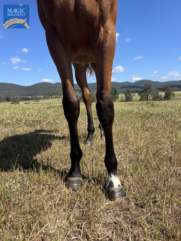 IMG_8362[1].jpg - Image 2