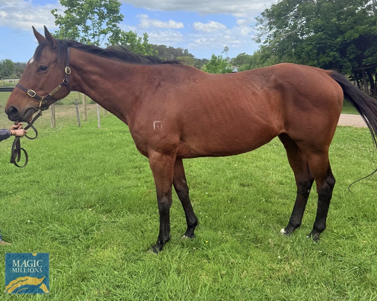 Ain't She Smokin 2 (stand).jpg - Image 2