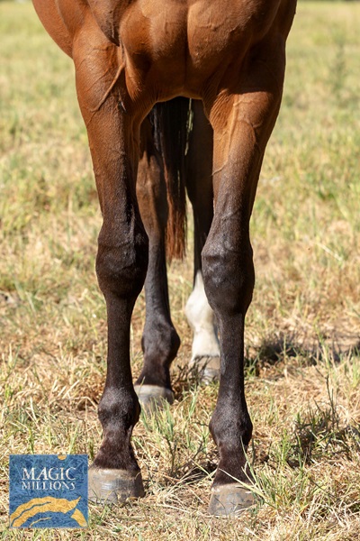 JESS_0502.jpg - Image 2