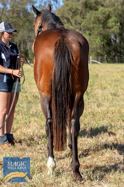 JESS_0520.jpg - Image 3