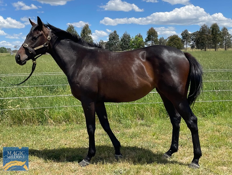 IMG_Gloria.jpg - Image 1