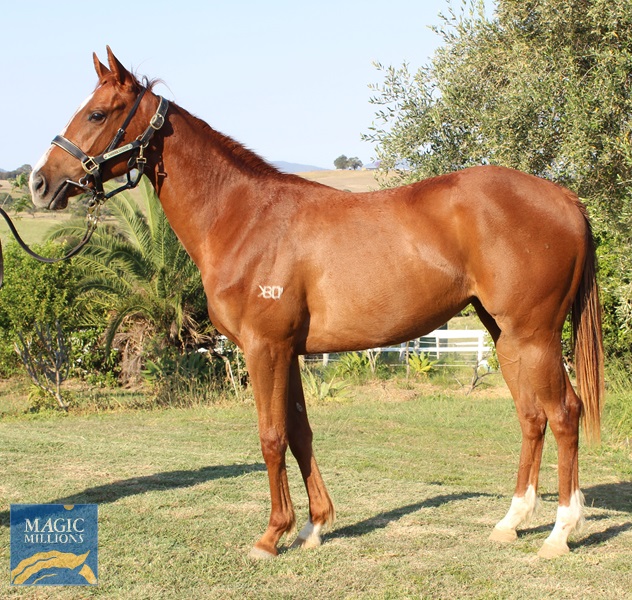 IMG_0375.jpg - Image 1