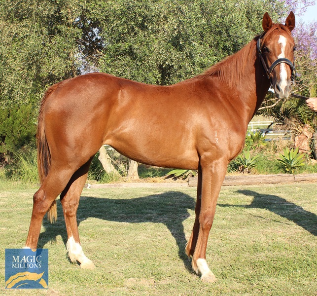 IMG_0366.jpg - Image 2