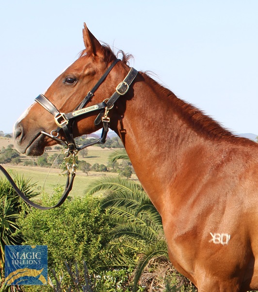 IMG_0377.jpg - Image 3