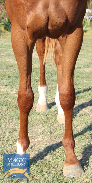 IMG_0387.jpg - Image 4