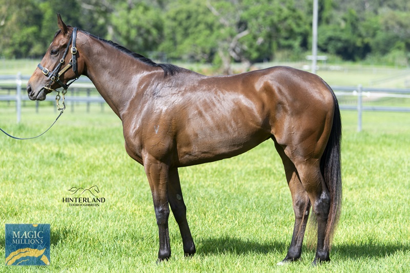 Lucci Sale (1).jpg - Image 1