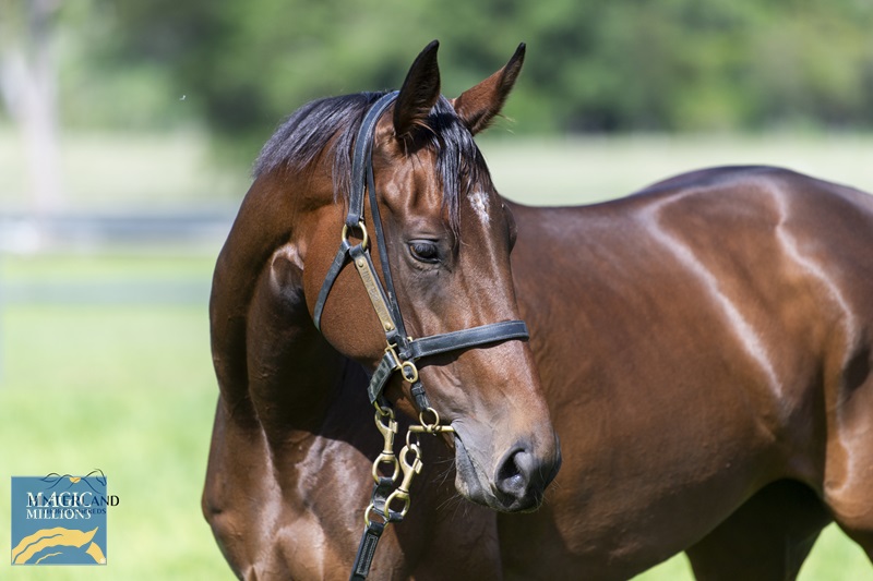 Lucci Sale (2).jpg - Image 2