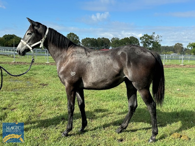 image0.jpg - Image 2