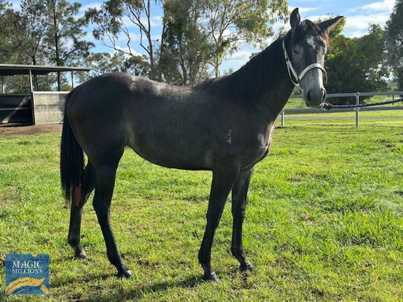 image3.jpg - Image 3